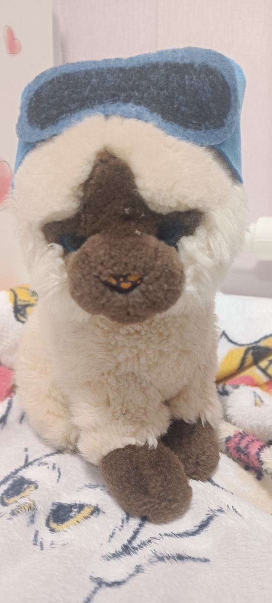 Моднючие очки