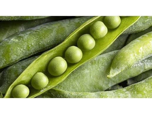 Горох- один из ключевых элементов здорового рациона.