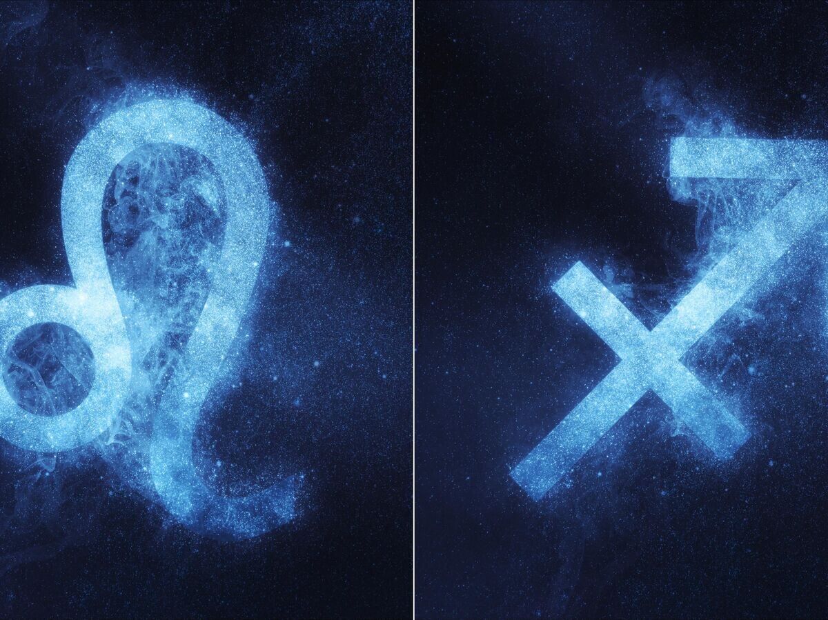    Лев и Стрелец | © Getty Images / Аllexxandar