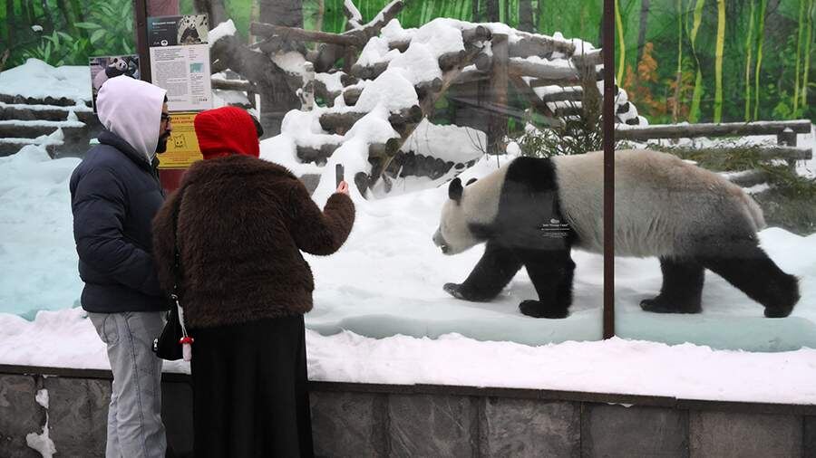    Фото: РИА Новости/Григорий Сысоев