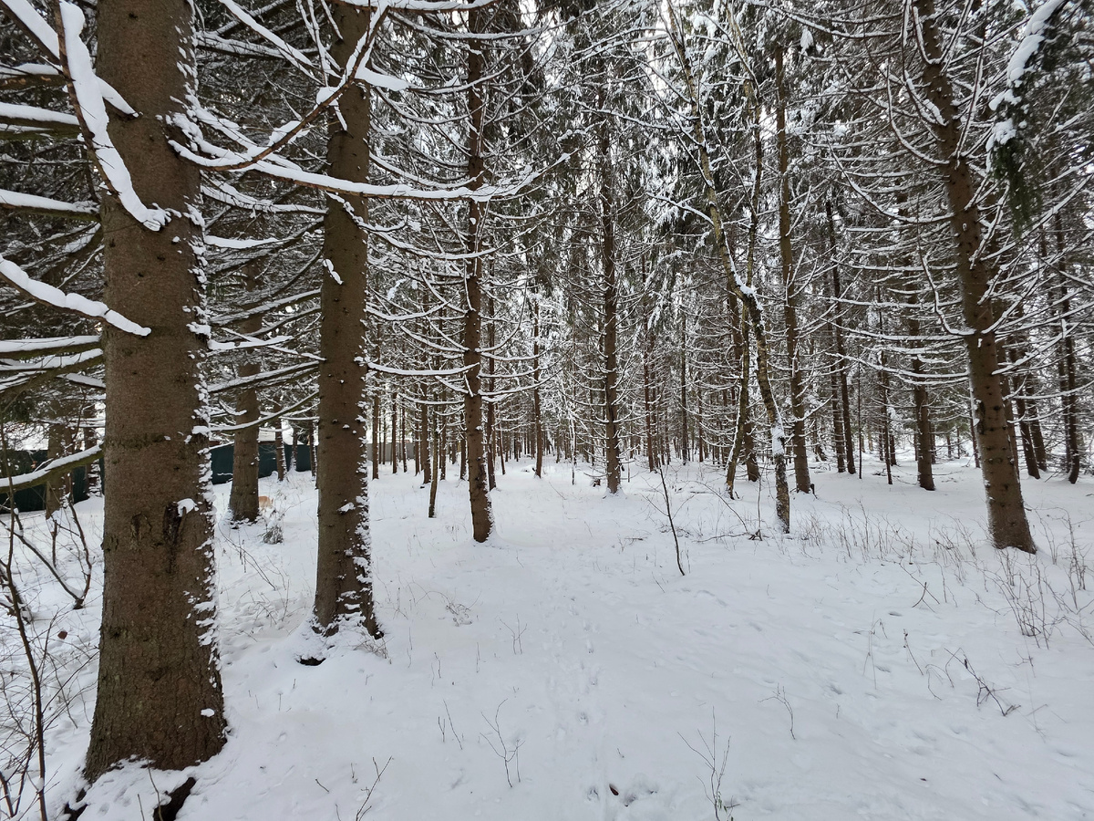 Подышать свежим воздухом перед сном - отличная идея