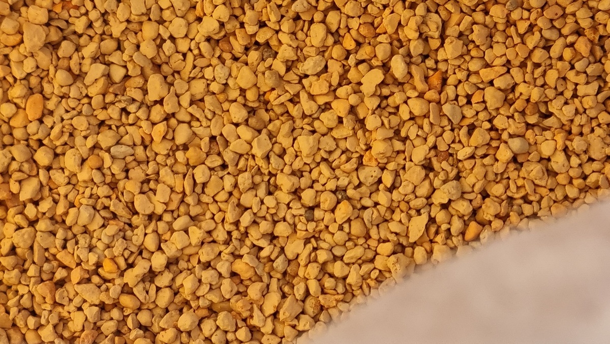 Диатомит: что это, зачем он нужен и как применять в огороде? Фото автора