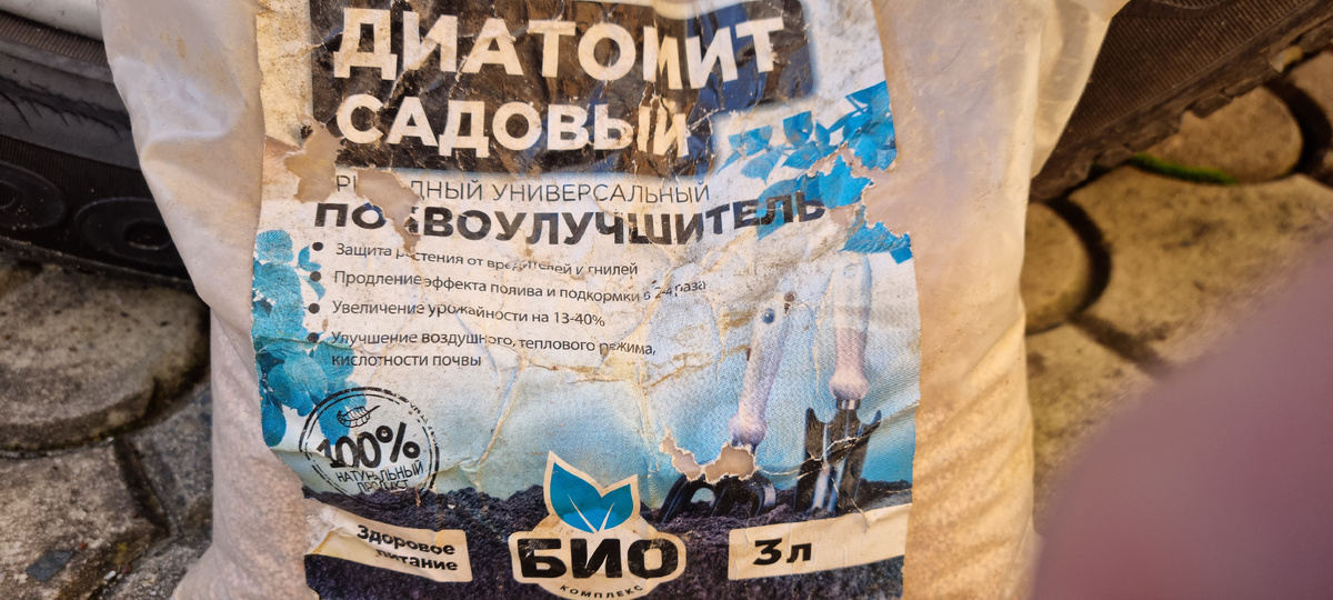 Диатомит: что это, зачем он нужен и как применять в огороде? Фото автора