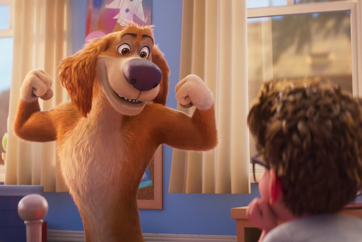     предоставлено Пресс-службой