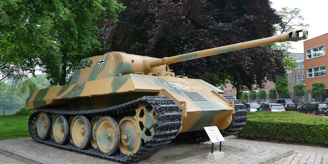 Подарочная немецкая кошка в Нидерландах