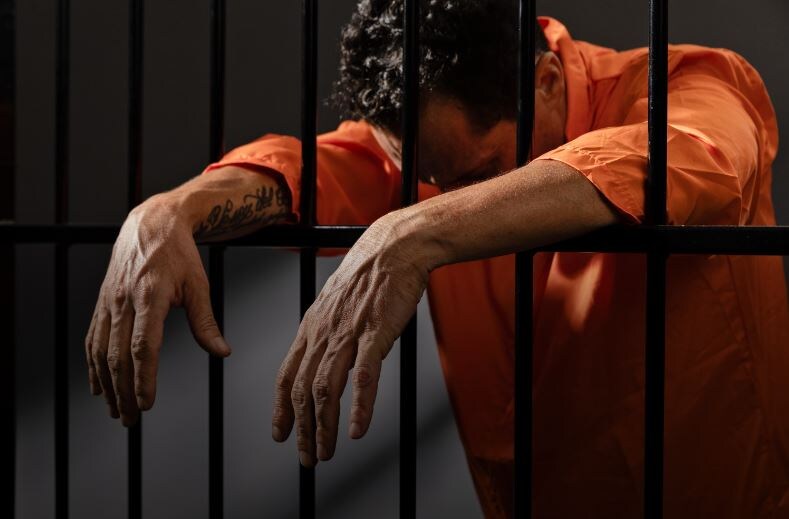 В Новосибирске иностранца отправили в СИЗО за легализацию 270 мигрантов