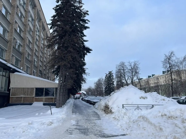     фото: https://penza-gorod.ru