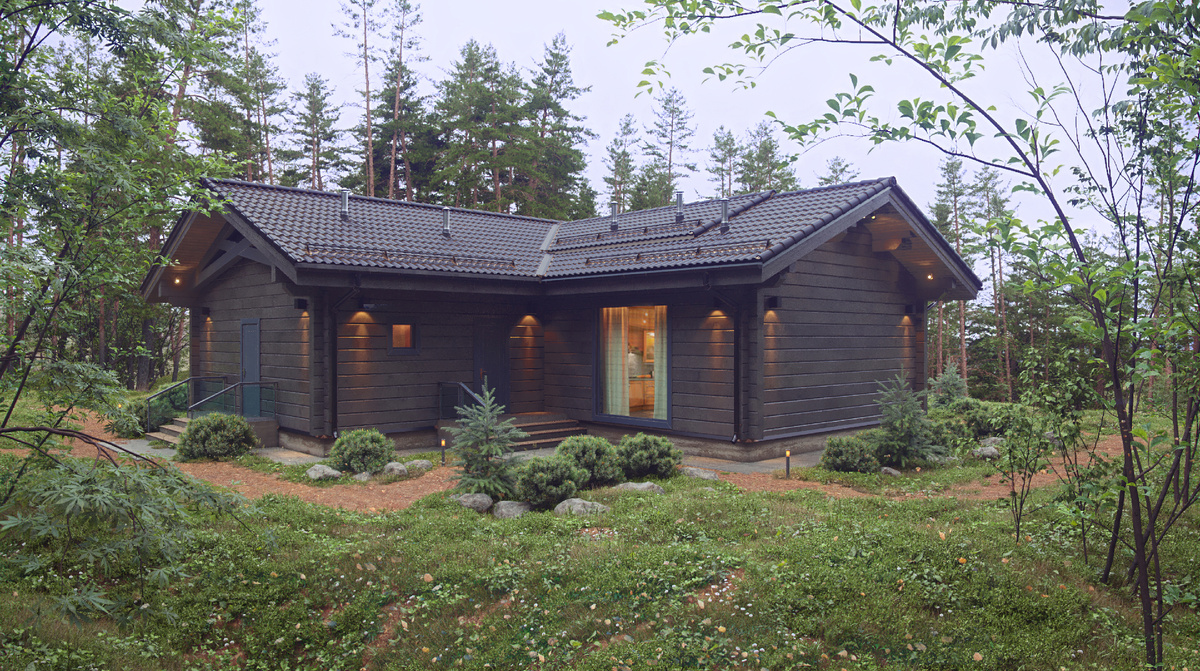 Большой дом