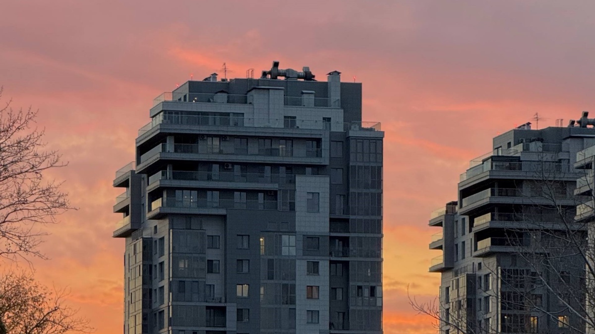    Анна Сальникова