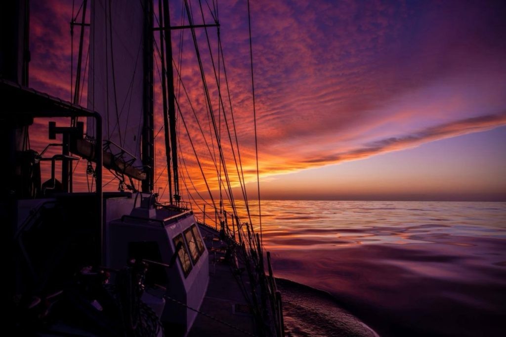Фото: Евразийская медиагруппа📷
