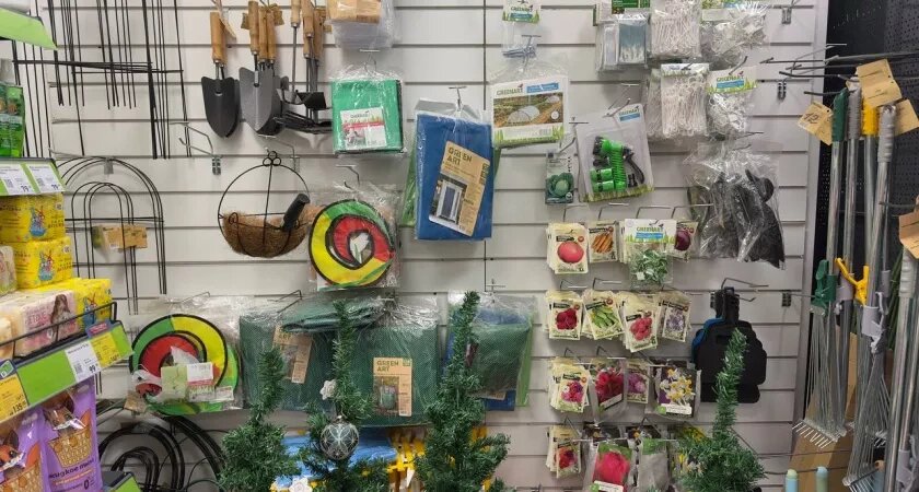    Фото prochepetsk