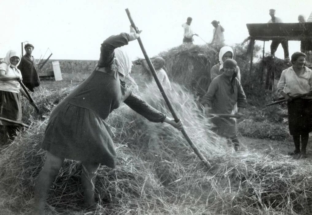 Взято из открытых источников интернета Яндекс.