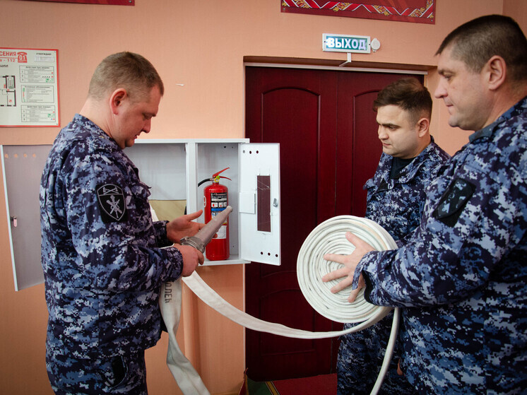     фото: https://58.rosguard.gov.ru