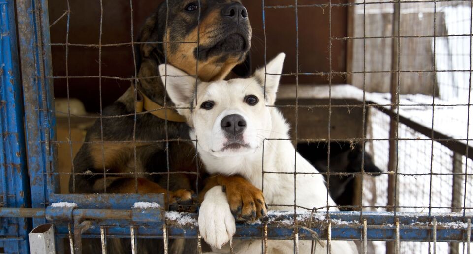    Медиасток.рф