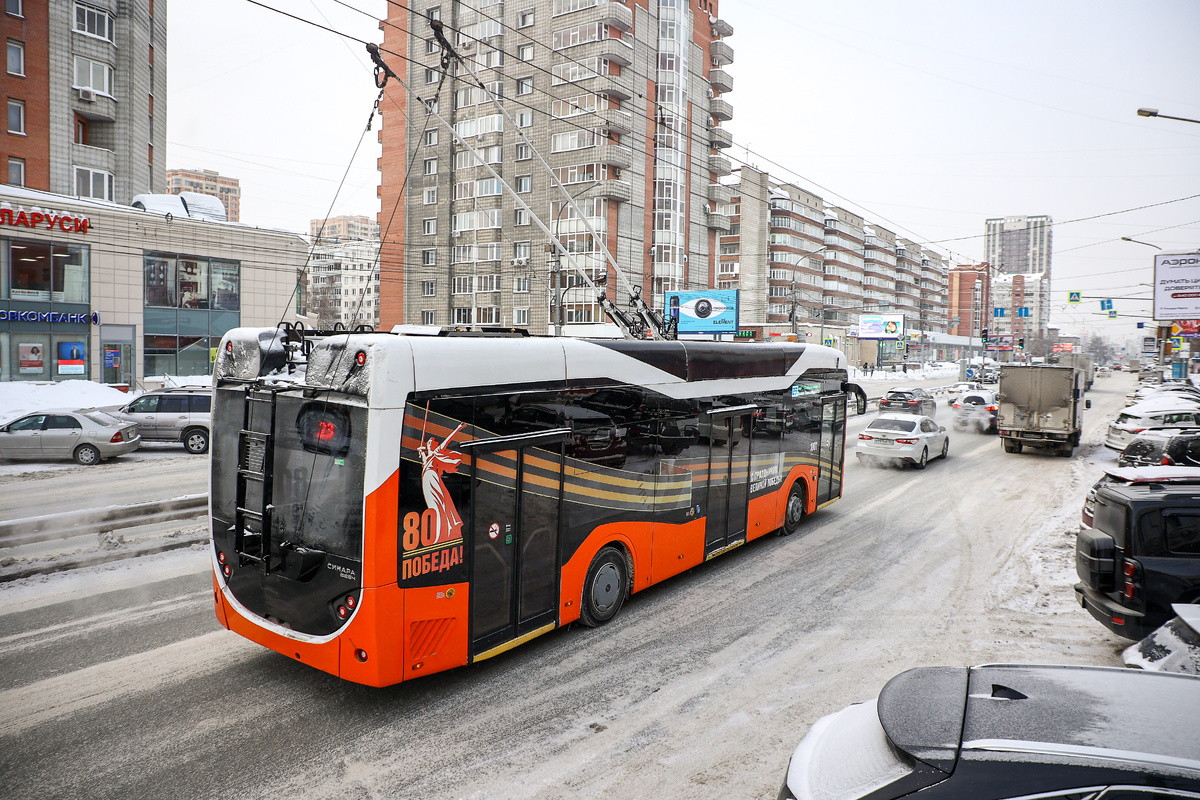    Фото: Ростислав Нетисов, nsknews.info