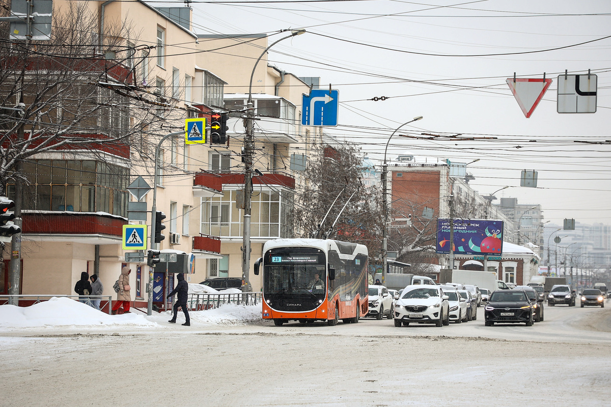    Фото: Ростислав Нетисов, nsknews.info