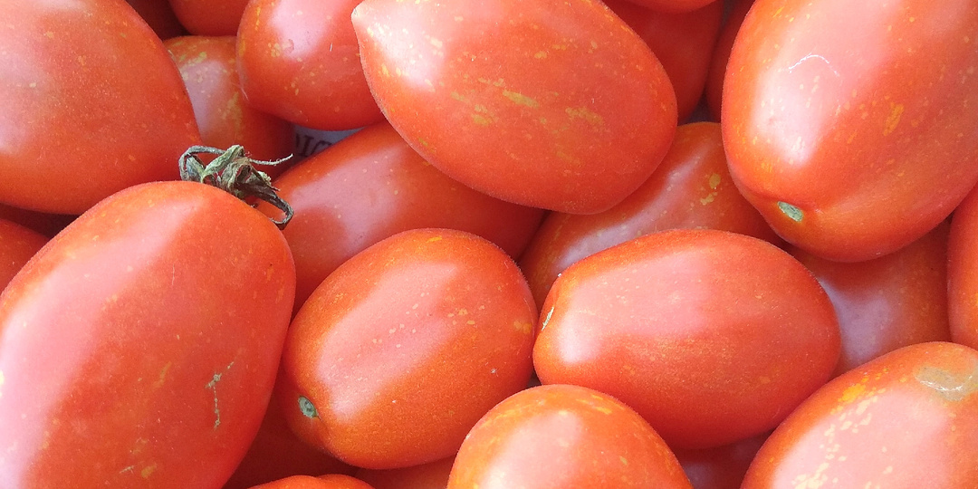 Томаты для консервации и вяленья, новые любимцы