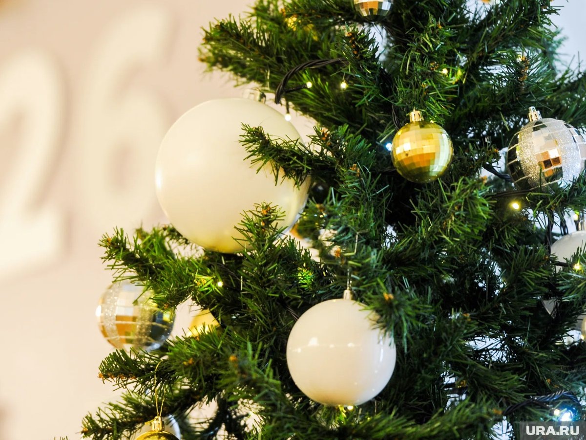     Если неправильно утилизировать елку, можно получить штраф