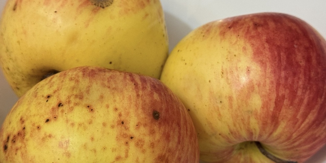 Парадокс вечернего углевода: почему яблоко на ночь может быть полезно