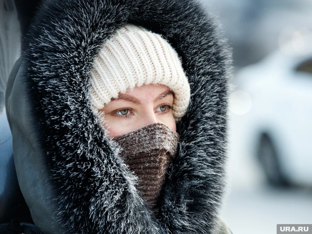     После морозного января жителей России ждет спокойный февраль с оттепелями