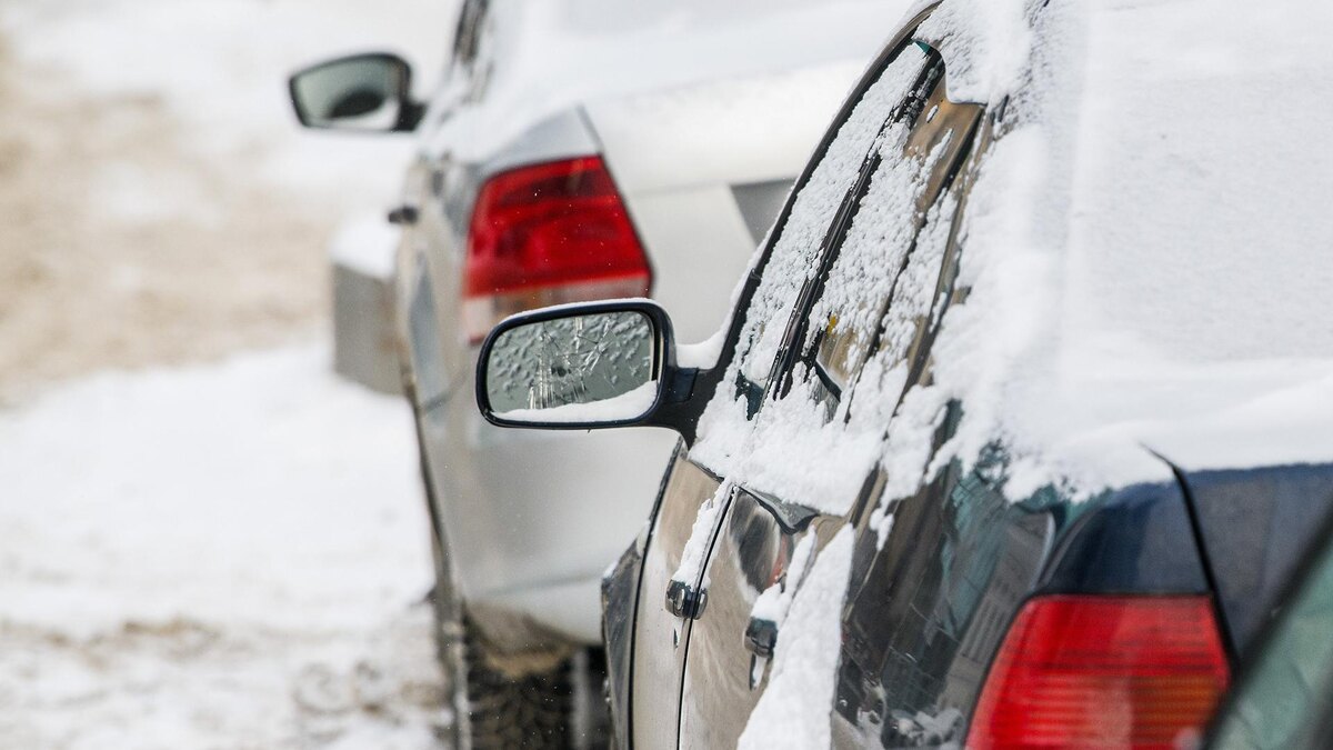    Фото: Ilya Moskovets/globallookpress.com