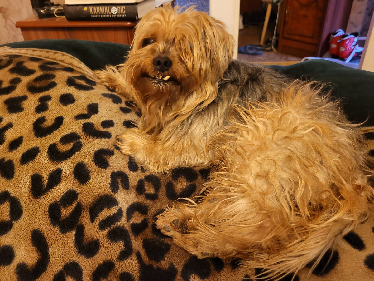 Марсель с голливудской улыбкой.