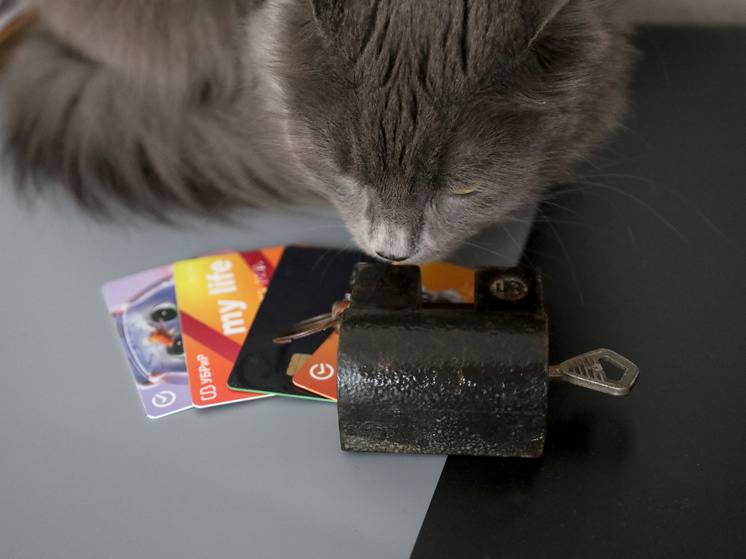     ФОТО: Elena Mayorova / Global Look Press