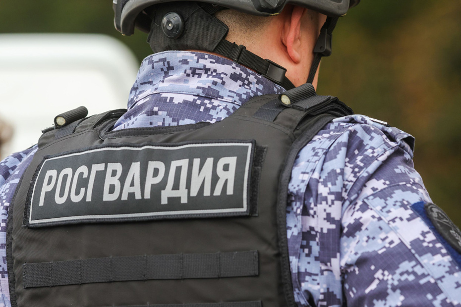    Наталья Шатохина/NEWS.ru