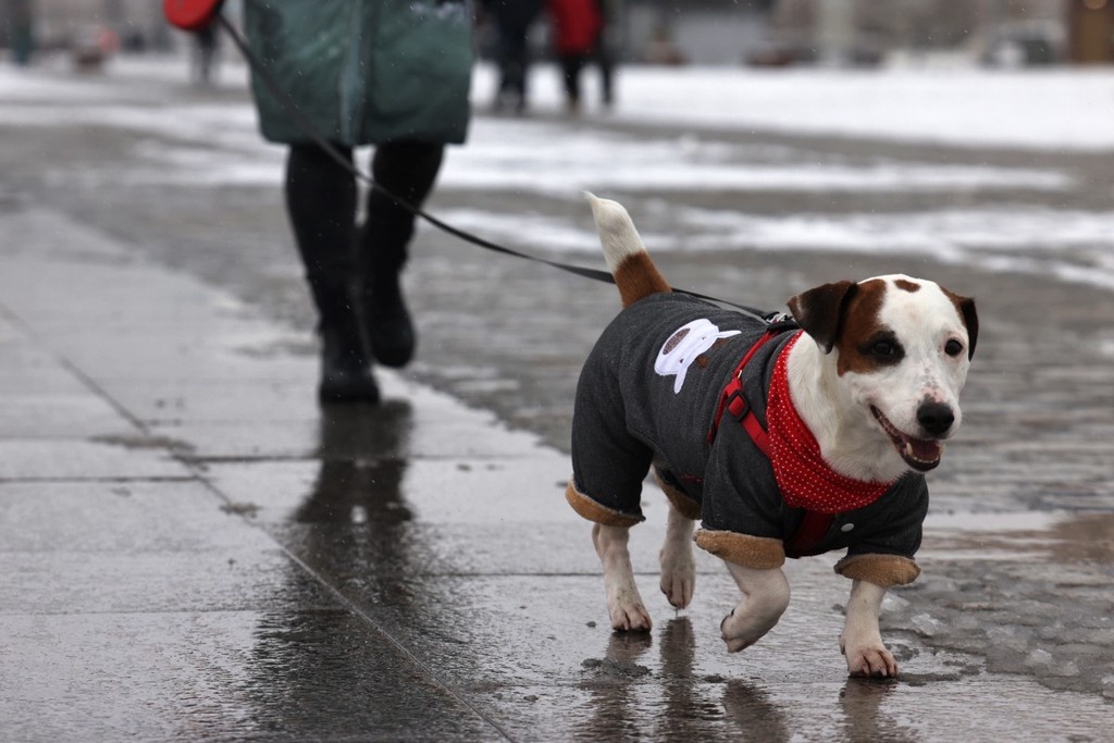    Фото © Анастасия Романова / Абзац