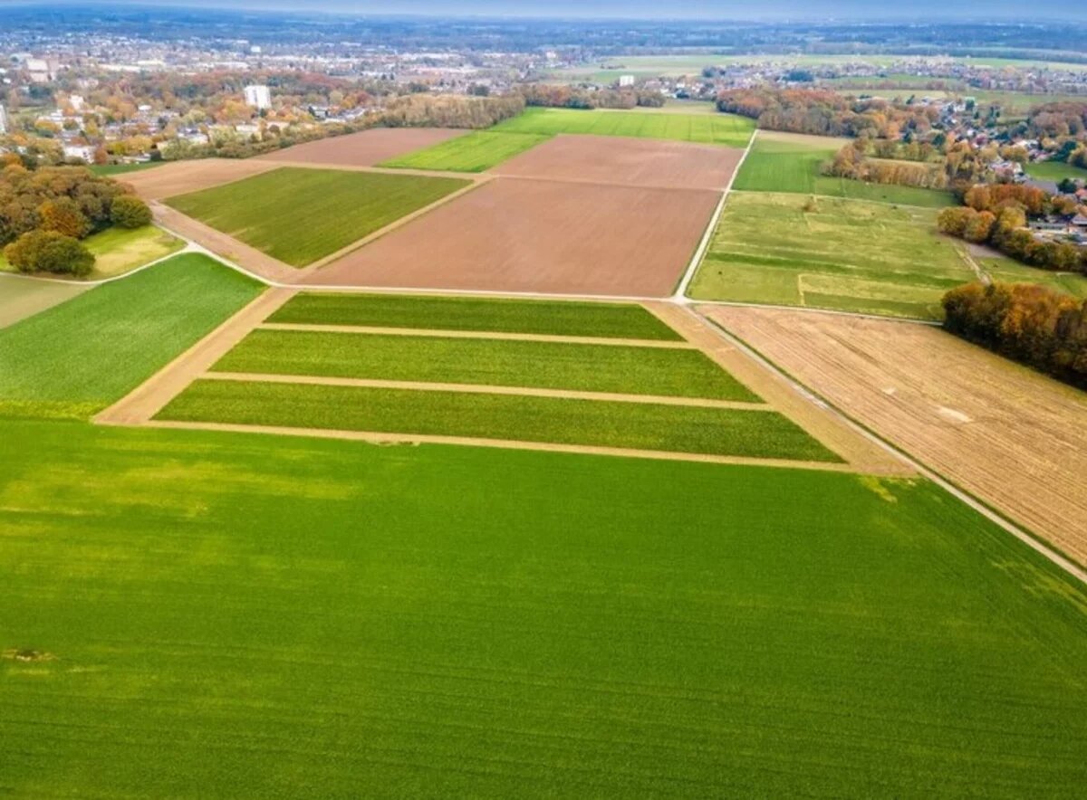    Более 50 участков подпадут под изъятие для строительства Южного обхода