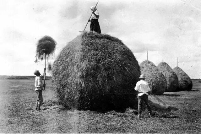 Взято из открытых источников интернета Яндекс.