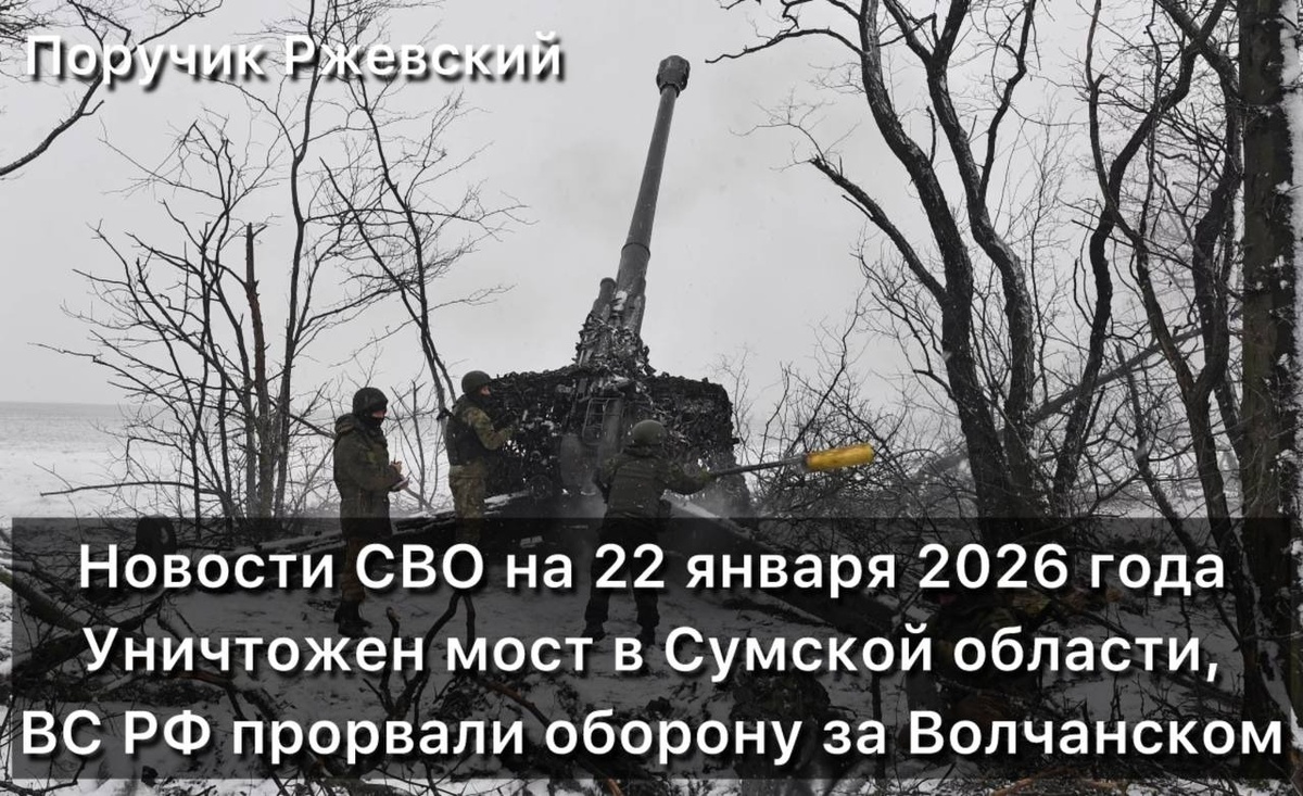 Источник https://aif-s3.aif.ru