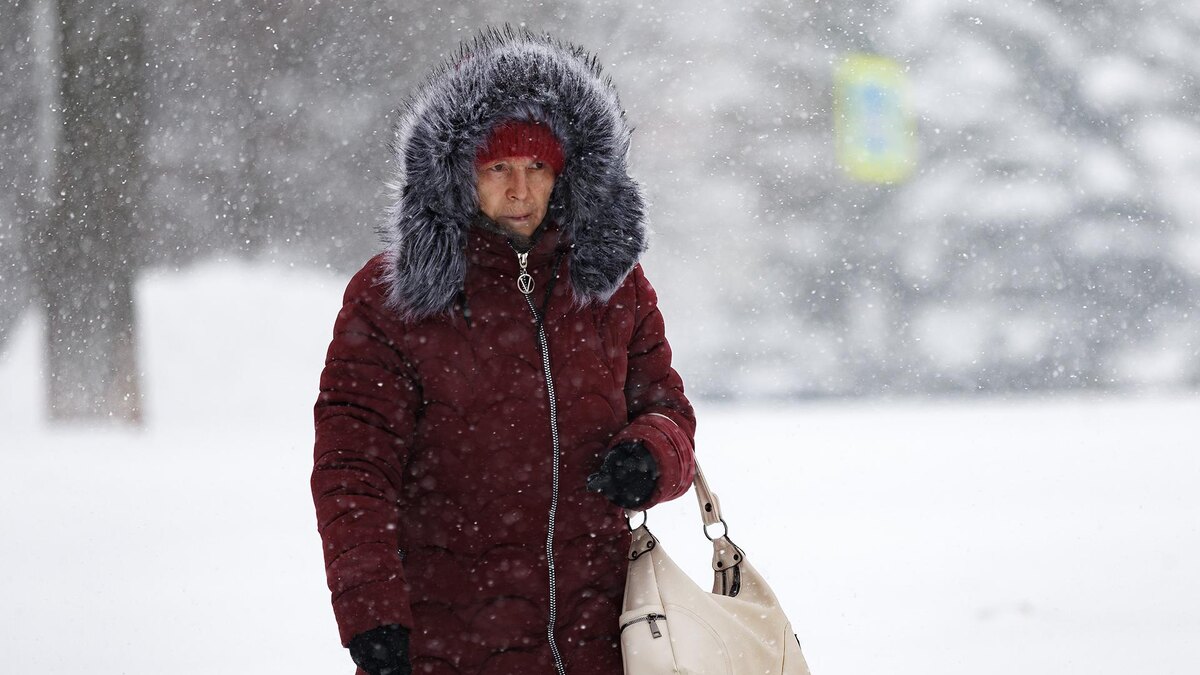    Фото: Sergey Elagin/globallookpress.com