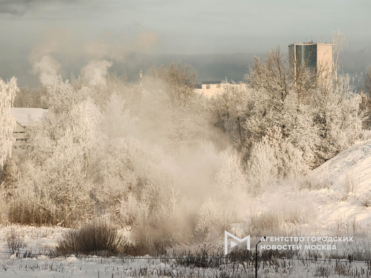 Фотограф: Василий Кузьмичёнок