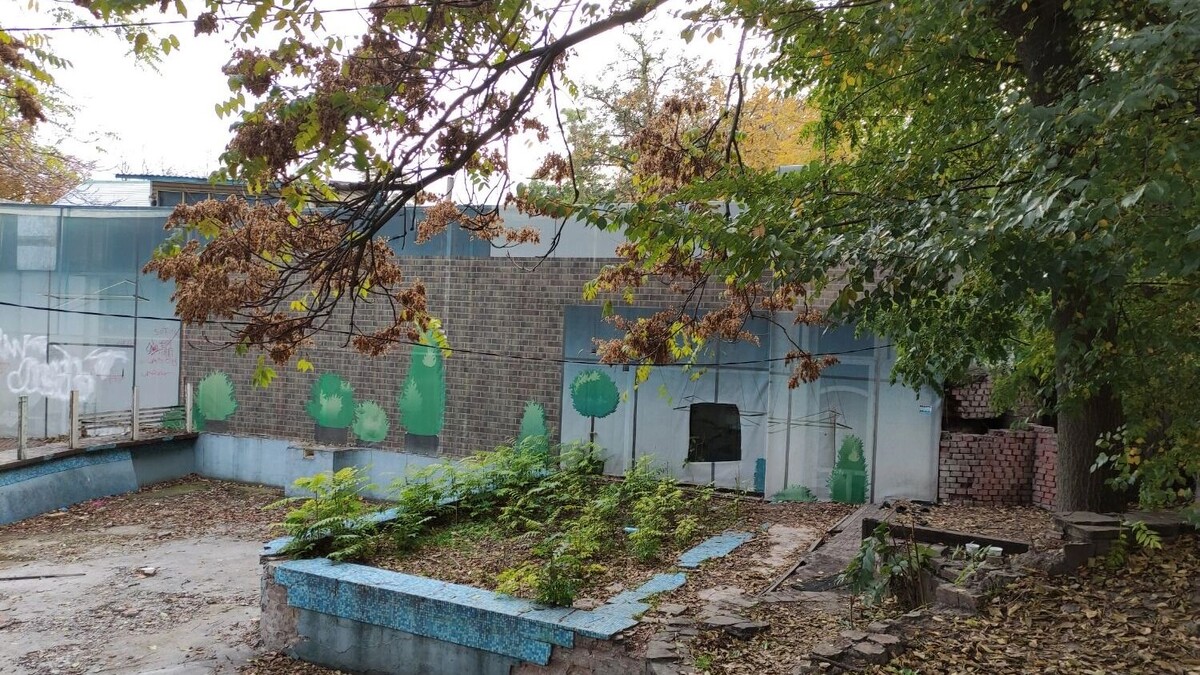    Вид в середине парка имени Горького в центре Ростова   Дарья Демидова / rostovgazeta.ru