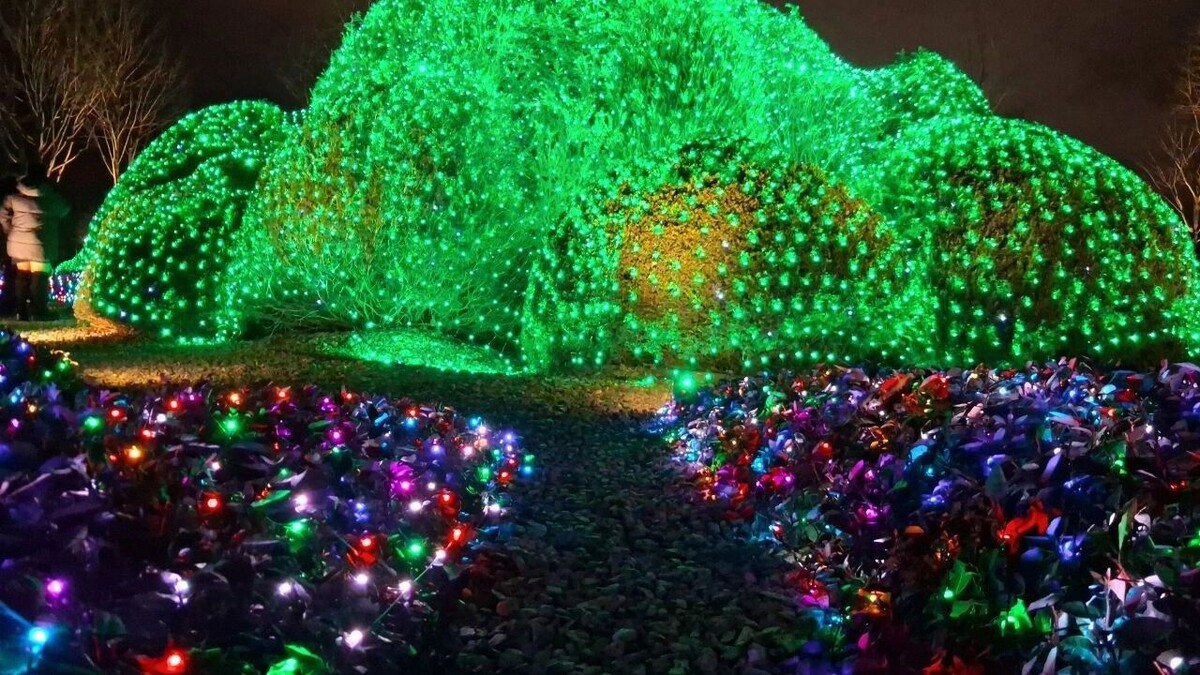    Благоустройство парка Галицкого в Краснодаре   Владислав Махмудов / rostovgazeta.ru