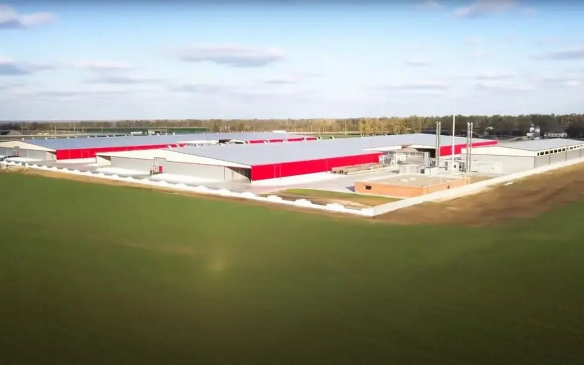    «Воронежский шампиньон» подал встречный иск к Минэкономразвития по делу о взыскании 40 млн рублей Фото с сайта компании