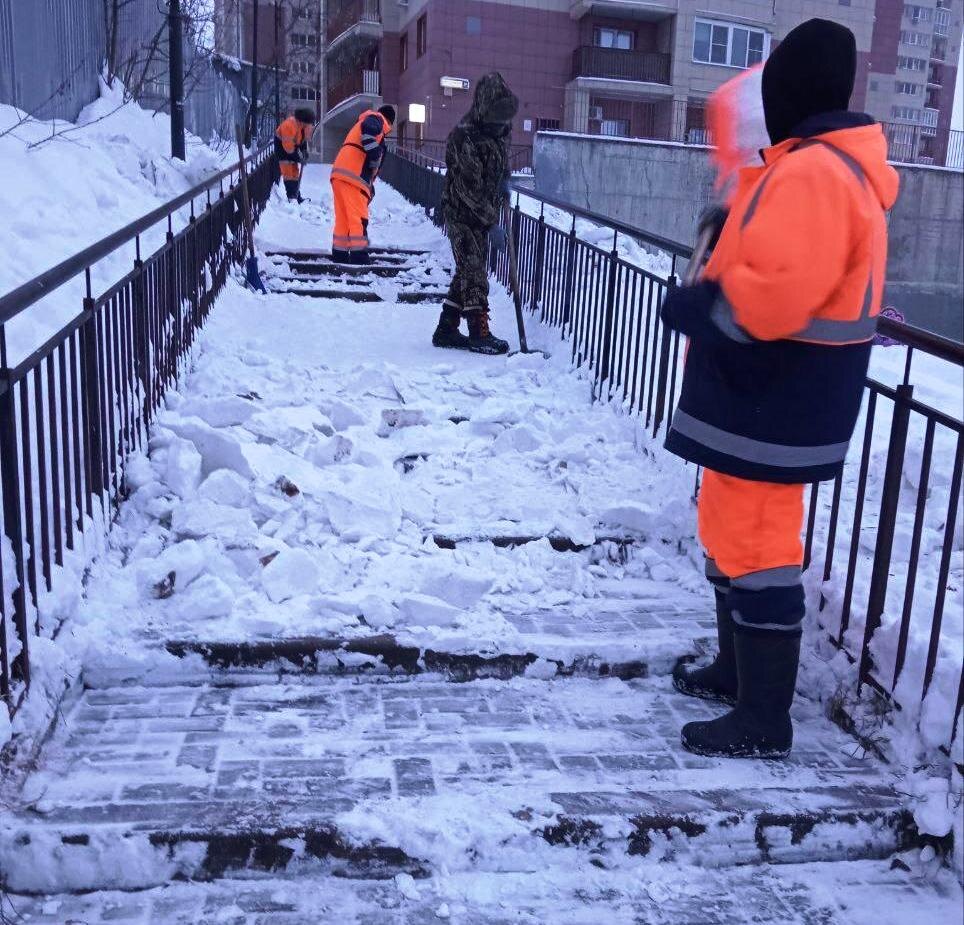    Фото: Администрация Городского округа Пушкинский