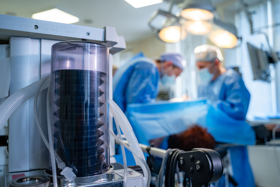    Shutterstock/FOTODOM