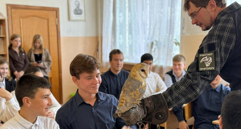    Фото: Центр охраны хищных птиц «Русский сокол» (https://vk.com/rus_falcon)