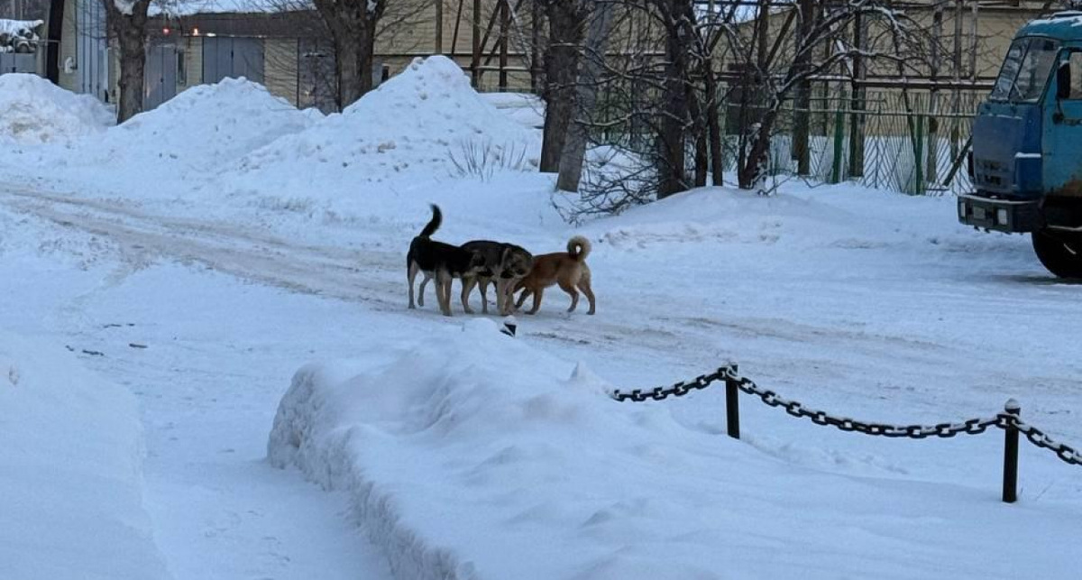    "Подслушано в Волжске"