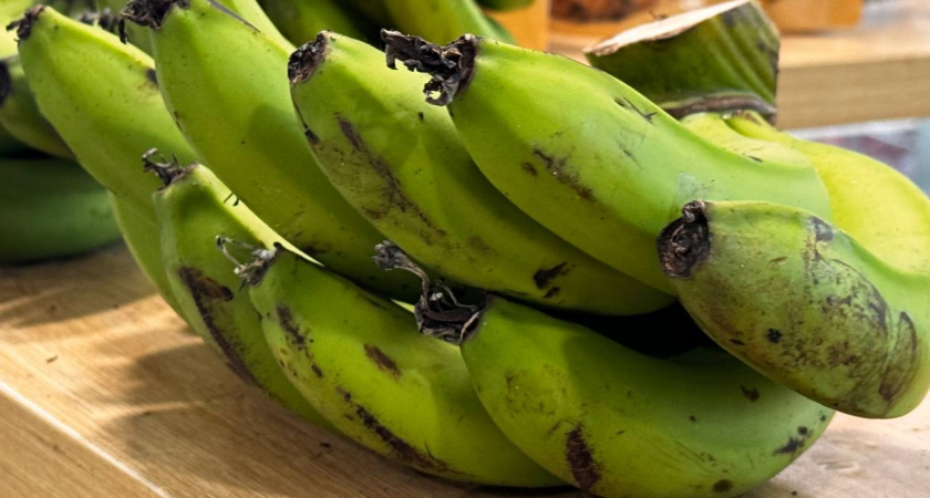    Первый городской канал Калининград