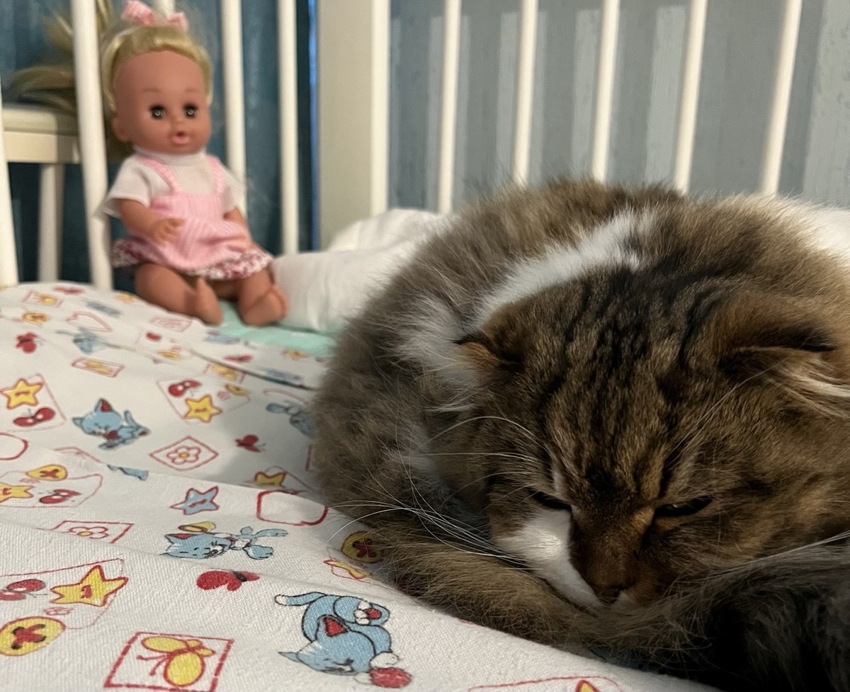 Яшка делает тихий час, когда ребенок в садике