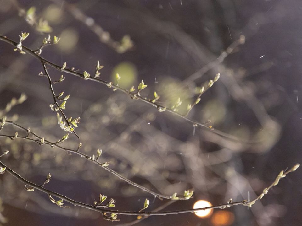    Фото: REGIONS/Владимир Ерастов