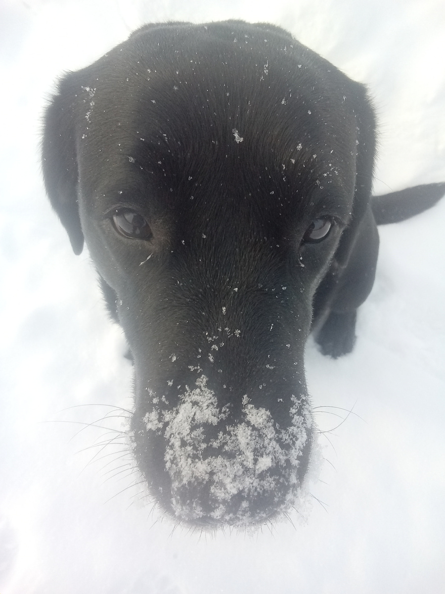 Фото автора. 