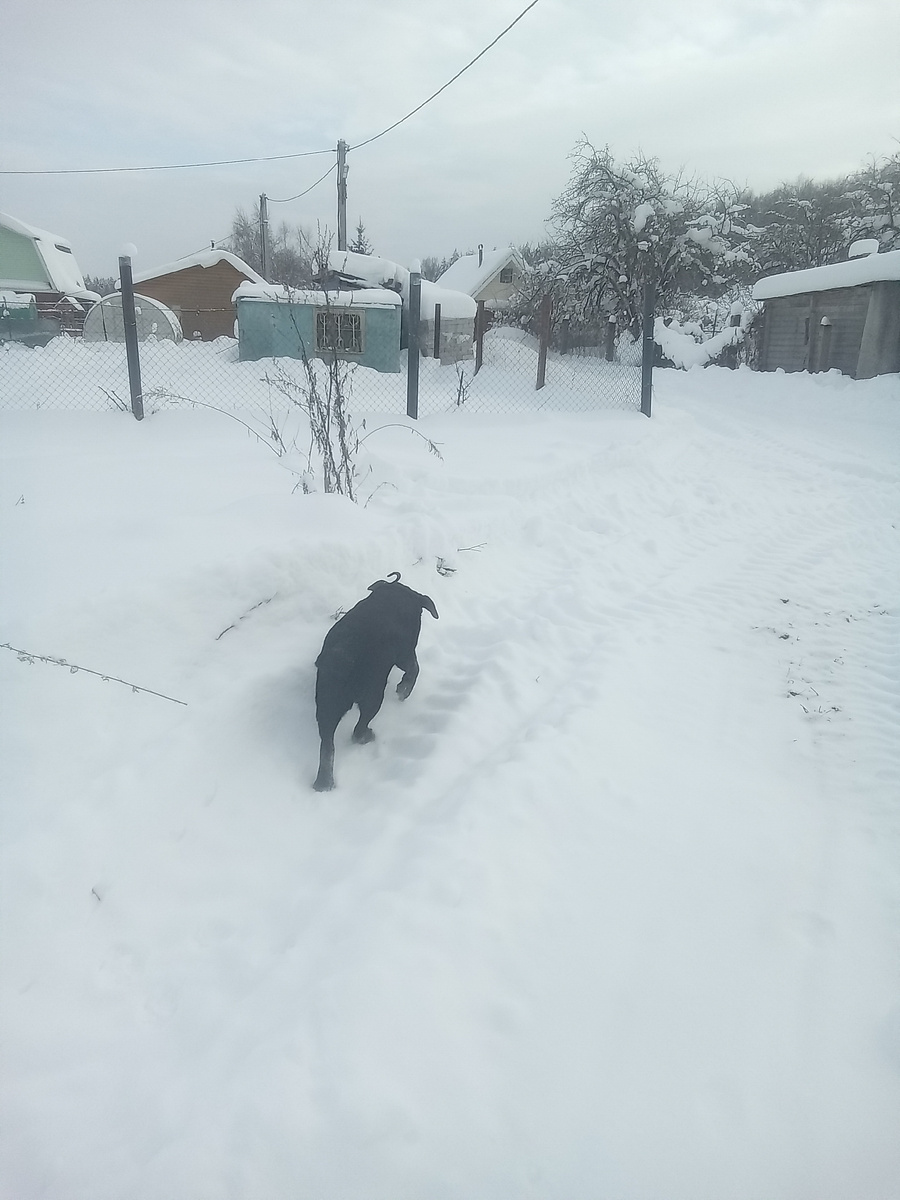 Фото автора. 