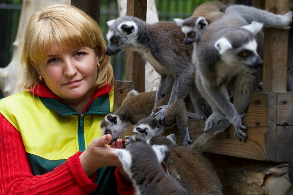 фото из открытых источников