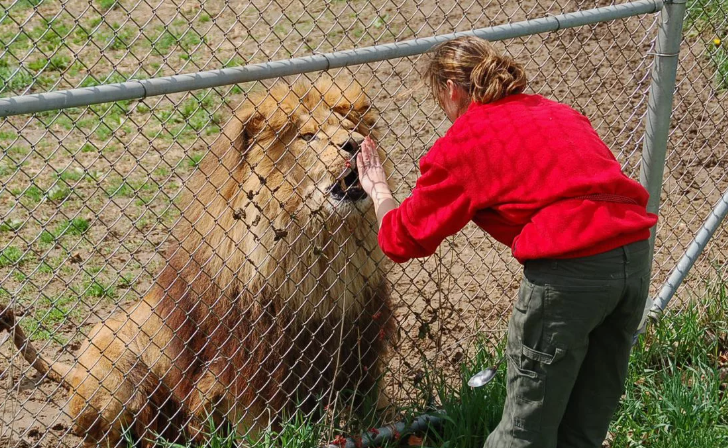 фото из открытых источников