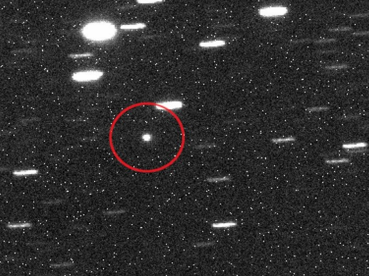 (источник: topnews.ru)