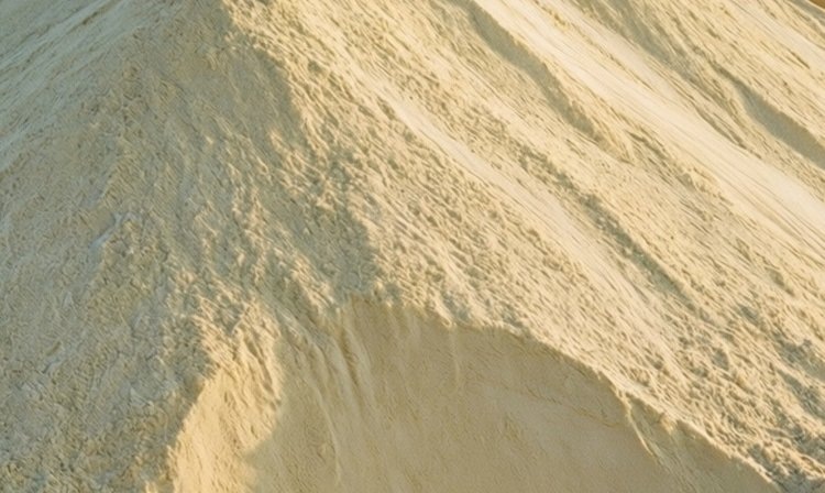    Фото: Медведева Анна, AgroXXI.ru